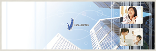 vizlead.com